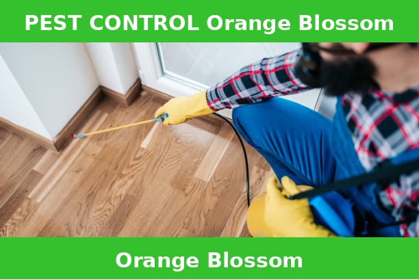PEST CONTROL Orange Blossom